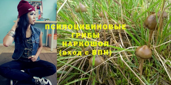 стафф Красноперекопск