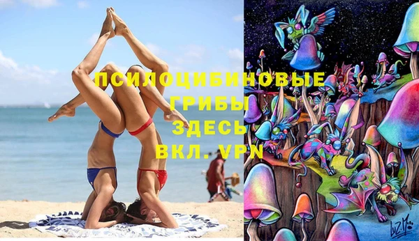 меф Корсаков